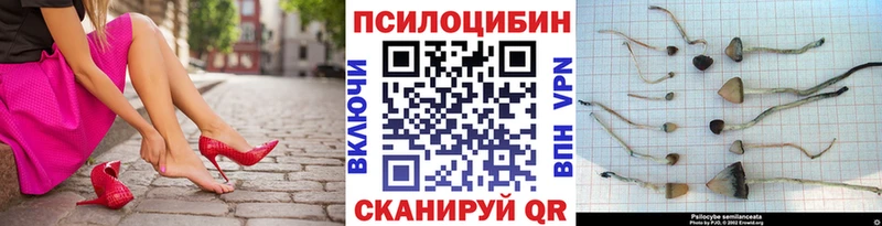 Галлюциногенные грибы мицелий Новошахтинск