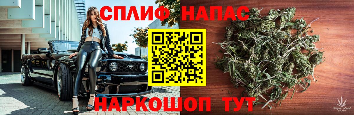 Конопля ГИДРОПОН Новошахтинск
